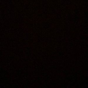 Meet your Posher, Alanni